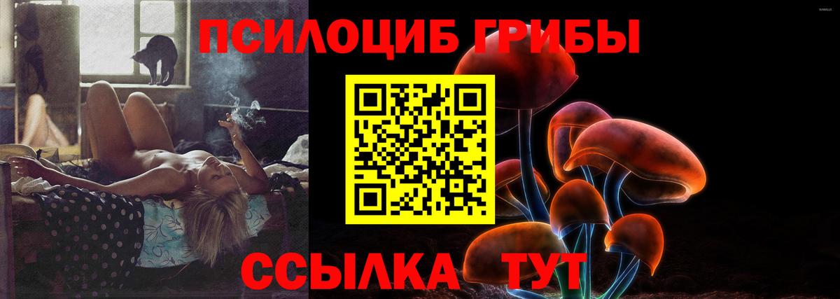 Галлюциногенные грибы MAGIC MUSHROOMS  Псилоцибиновые грибы Magic Shrooms  Урюпинск  Вход с VPN 